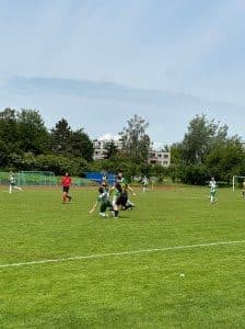 73bb0 img  x 1