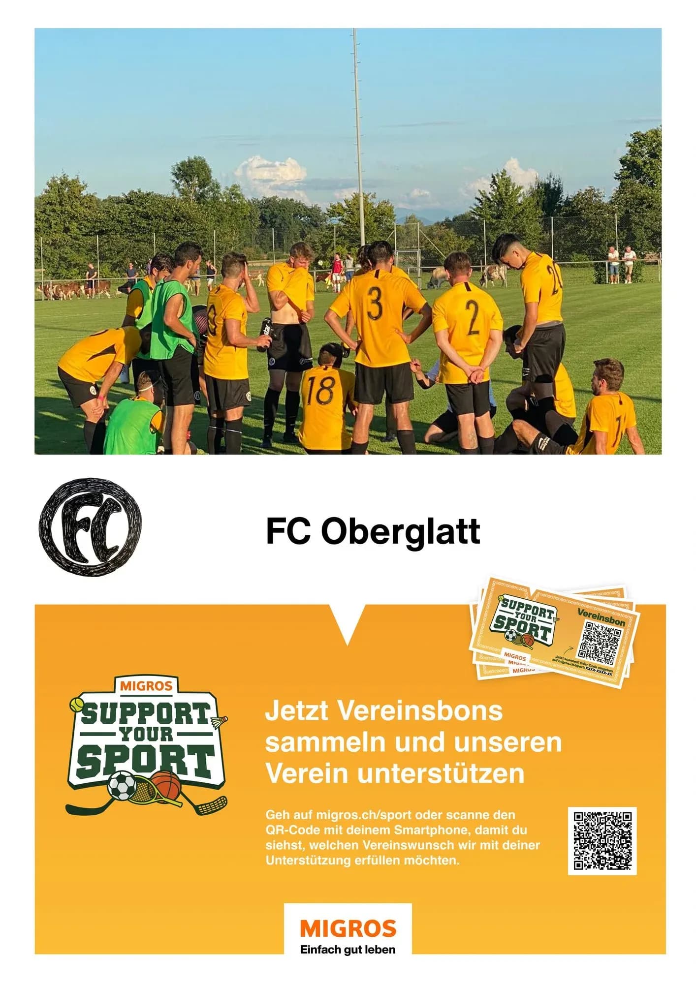 support-your-sport-v2jem9x-print